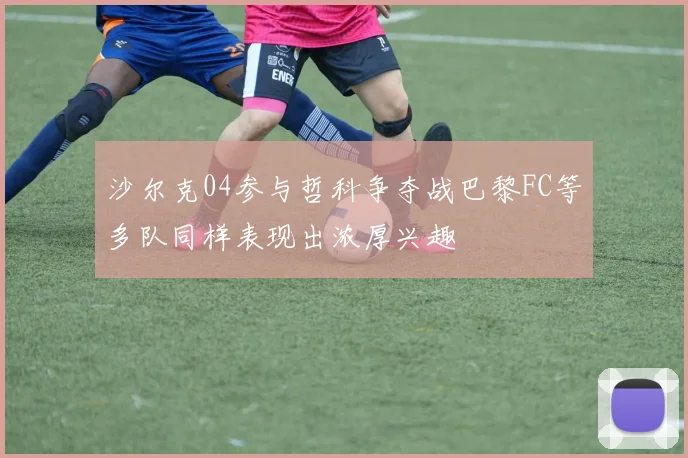沙尔克04参与哲科争夺战巴黎FC等多队同样表现出浓厚兴趣