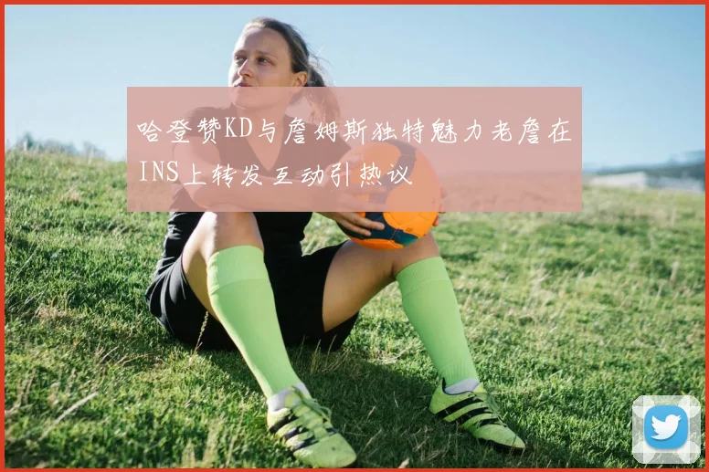 哈登赞KD与詹姆斯独特魅力老詹在INS上转发互动引热议